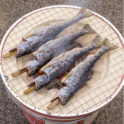 安芸高田 滝ヶ谷 やまめ串(8尾入り)[No5895-0625]