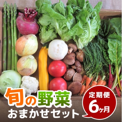 旬の野菜・定期便(6か月)[No5895-0455]