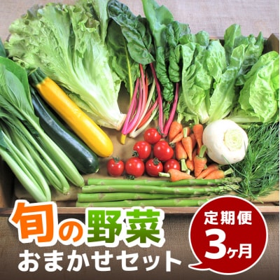 旬の野菜・定期便(3か月)[No5895-0456]