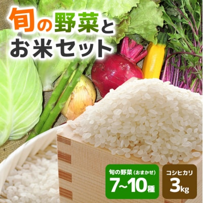 旬の野菜とお米のセット[No5895-0457]