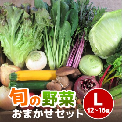 旬の野菜【L】セット[No5895-0458]