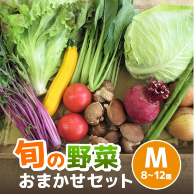 旬の野菜【M】セット[No5895-0459]