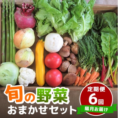 旬の野菜・定期便(12か月)【2ヶ月毎に6回お届け】[No5895-0496]