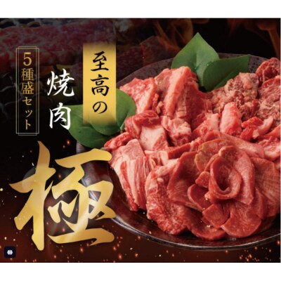 焼肉　極　5種盛りセット　合計500g