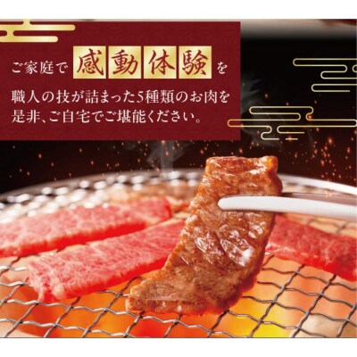 焼肉　極　5種盛りセット　合計500g