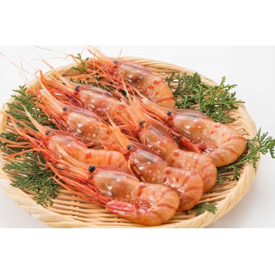 【急速冷凍】北海道苫前産ボタンエビ　500g×2《数量限定》(えび・海老・北海道・小分け・生)