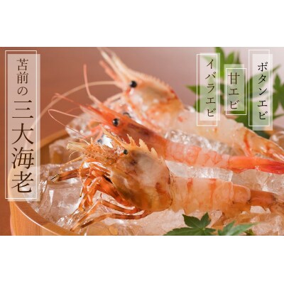 【急速冷凍】北海道苫前産ボタンエビ　500g×2《数量限定》(えび・海老・北海道・小分け・生)