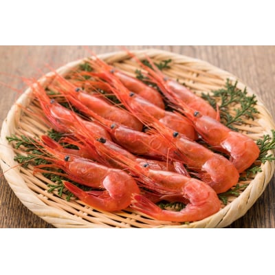 【急速冷凍】北海道苫前産甘エビ小　500g×2《数量限定》(えび・海老・北海道・小分け・生)