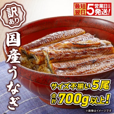 〈最短翌日発送〉 【訳あり】国産 うなぎ 蒲焼き 5尾 700g以上! ※サイズ不揃い