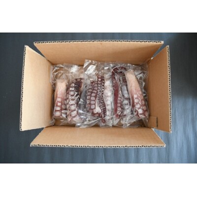 北海道浦河町産 浜ゆでたこ 合計1kg[06-1589]