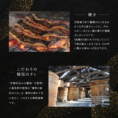 国産 特上うなぎ 蒲焼き 2尾 (400g以上) 簡易袋 タレ 山椒付き