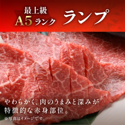 A5 飛騨牛 ランプ焼肉 470g【冷凍】【11-1017】