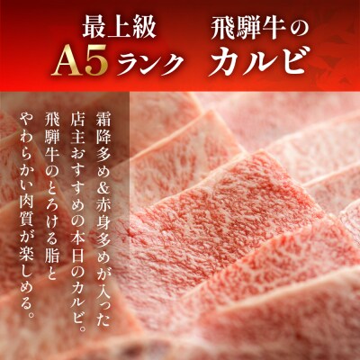 A5飛騨牛 特選霜降りカルビ 530g【冷凍】【11-1020】