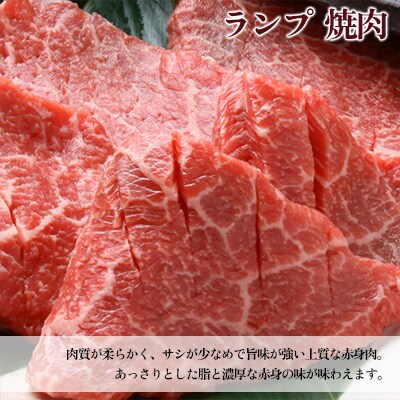 A5 飛騨牛 ランプ焼肉 570g【冷凍】【11-1021】