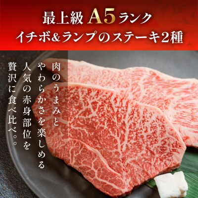 (2027年1月発送)A5 飛騨牛いちぼ・ランプステーキ 約260g【冷凍】【11-1023(1)】
