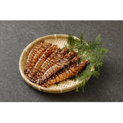 ※指定日必須※蒼海セット(活き車海老・活きあわび・活きサザエ・天然塩)〈先行受付〉_S002-004