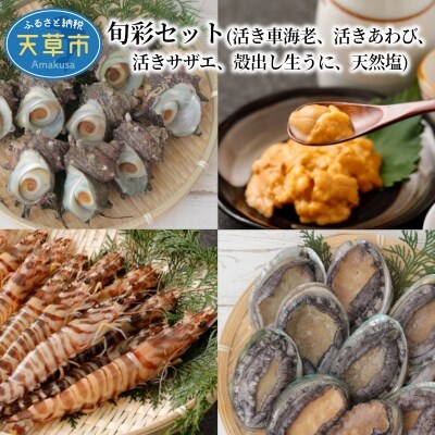 【指定日必須】旬彩セット(活車海老 活きあわび 活きサザエ 殻出し生うに 天然塩)_S002-005