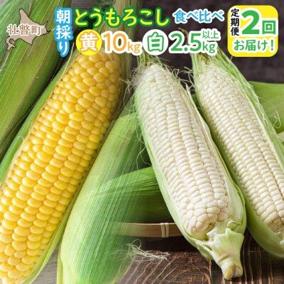 <定期便 8月上旬・8月下旬朝採り>壮瞥町産 とうもろこし黄・白 食べ比べ SBTP011