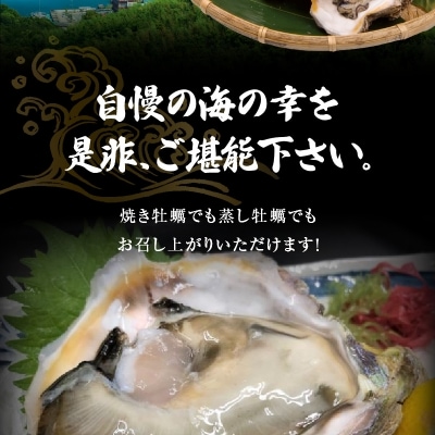 【指定日必須】岩牡蠣　約3kg　約3人前【先行受付】_S002-019A