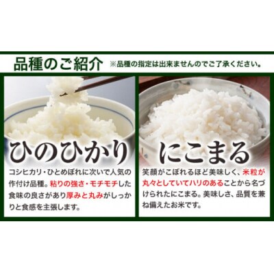 【令和8年6月発送】令和7年産 備中笠岡ふるさと米20kg