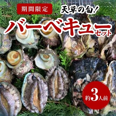 【指定日必須】【期間限定・先行受付】天草の旬!バーベキューセット　約3人前_S002-020A