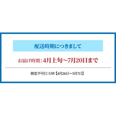 【期間限定・先行受付】天草の旬!バーベキューセット大　約6人前_S002-021