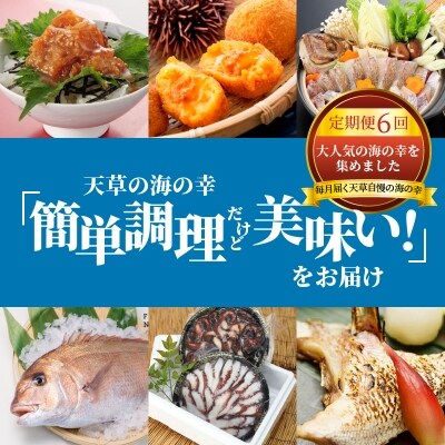 【定期便6回】天草の海の幸「簡単調理だけど美味い!」をお届け_S999-T03