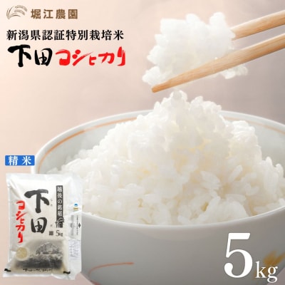 新潟県認証特別栽培米 下田コシヒカリ 5kg 令和7年産 [堀江農園]【011S161】