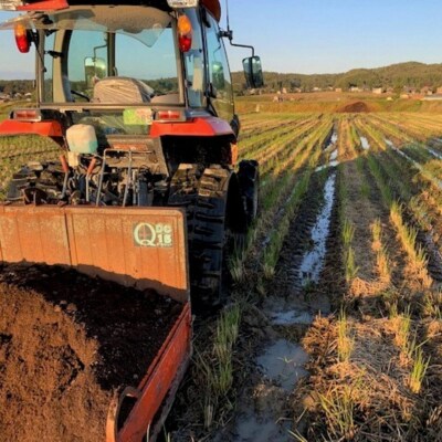 新潟県認証特別栽培米 下田コシヒカリ 10kg 令和7年産 [堀江農園]【020S050】