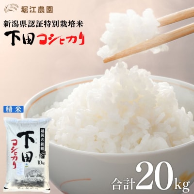 新潟県認証特別栽培米 下田コシヒカリ 20kg 令和7年産 [堀江農園]【042S010】