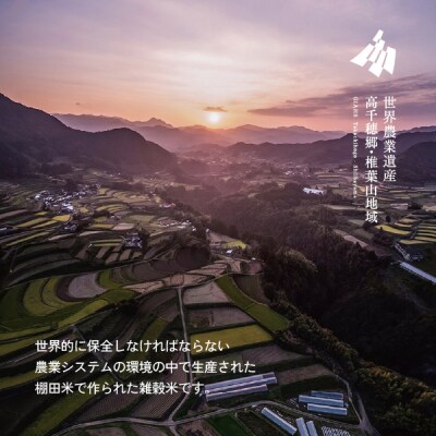 藤の花色に染まる六穀米「藤六穀(ふじろっこく)」 高千穂棚田米 たかきび 挽き割とうもろこし