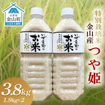 《令和7年産》 金山産米「つや姫1.9kg」×2本セット F4B-0583