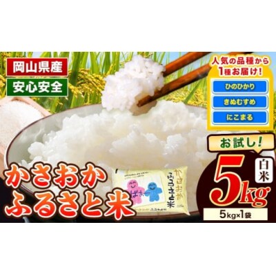【令和8年6月発送】令和7年産 備中笠岡ふるさと米5kg