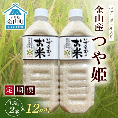 《定期便 令和7年産 先行予約》金山町産 つや姫 精米 1.9kg 2本×12ヶ月 F4B-0588