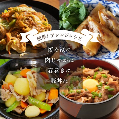 飛騨旨豚の味噌漬(160g×10袋)豚肉 味付け 味付き 焼くだけ 簡単調理 下呂市【8-3】