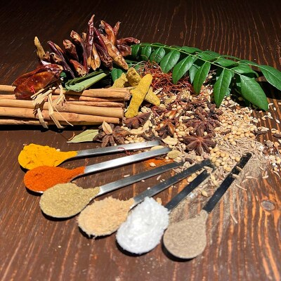 【3ヶ月連続定期便】ひだまり薬膳スパイスカレー 4個 冷凍 薬膳 カレー F4F-4366