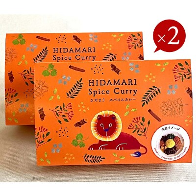 【3ヶ月連続定期便】ひだまり薬膳スパイスカレー 4個 冷凍 薬膳 カレー F4F-4366