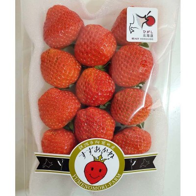 先行予約!【2026年6月末から順次発送】すずあかね(M～L) 約900g F4F-4623