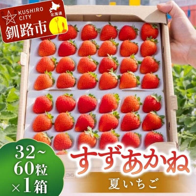 先行予約!【2026年6月末から順次発送】すずあかね 32～60粒×1箱 夏いちご F5F-0095