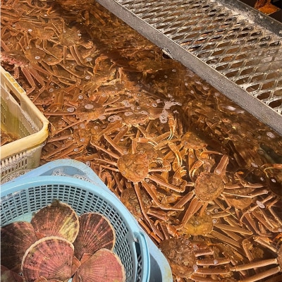 (訳あり)北海道産・おおずわいかに(ボイル冷凍) 3～7尾 蟹 楚蟹 冷凍 ボイル F4F-8029