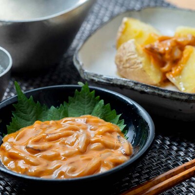 いかの塩辛 100g 4個セット 手作り イカ 酒の肴 酒 F4F-5084