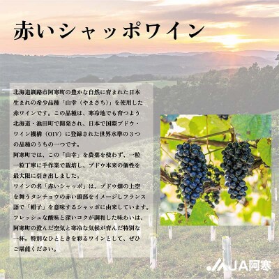 赤いシャッポワイン×2 赤ワイン 北海道産 ワイン プレミアム セット 酒 北海道 F4F-3145