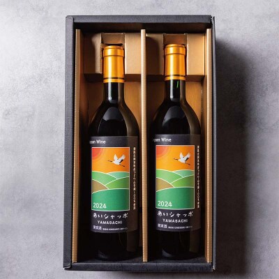 赤いシャッポワイン×2 赤ワイン 北海道産 ワイン プレミアム セット 酒 北海道 F4F-3145