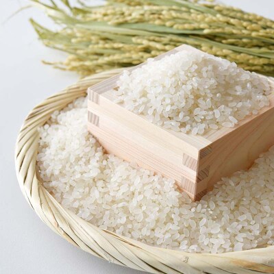 新米 北海道産おぼろづき米2kg&明太子(500g) おぼろづき めんたいこ F4F-7765