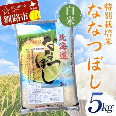 【令和7年産】【新米】 特別栽培米ななつぼし 5kg 白米 北海道産 米 コメ F4F-9740