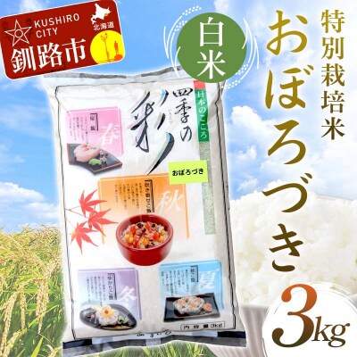 【令和7年産 】 【新米】 特別栽培米おぼろづき 3kg 白米 F4F-9844