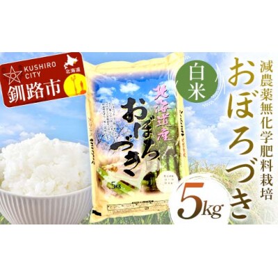 令和7年度産・新米 減農薬9割減 ・ 化学肥料不使用おぼろづき 5kg 白米 F4F-9428