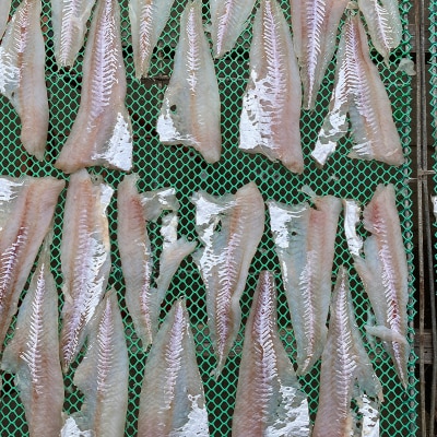 マルヒ母さんの美味いっタラ!フライ ＜プレーン味＞ 15個(60g×5個入 3箱)F4F-7806