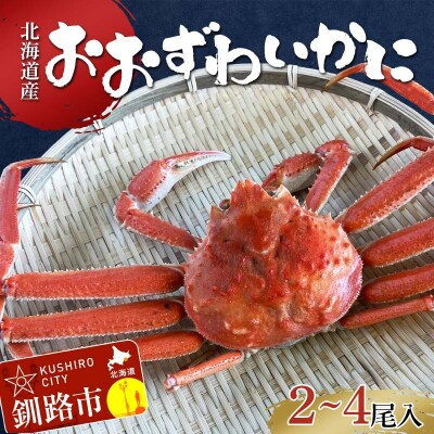 (茹でたて!!未冷凍!!)(訳あり)北海道産・おおずわいかに(茹でたて・未冷凍)  F4F-8030