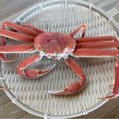 (茹でたて!!未冷凍!!)(訳あり)北海道産・おおずわいかに(茹でたて・未冷凍)  F4F-8030